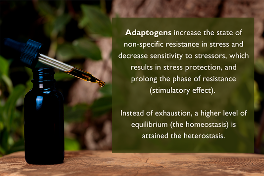 ADAPTOGENS: WHAT THEY ARE AND HOW THEY AFFECT HUMAN BODY