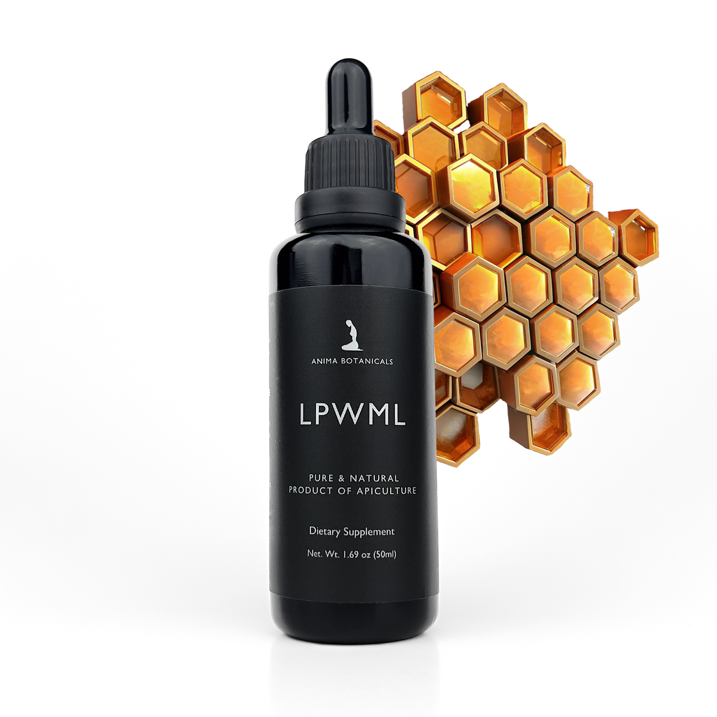 LPWML (Bee Ognevka)