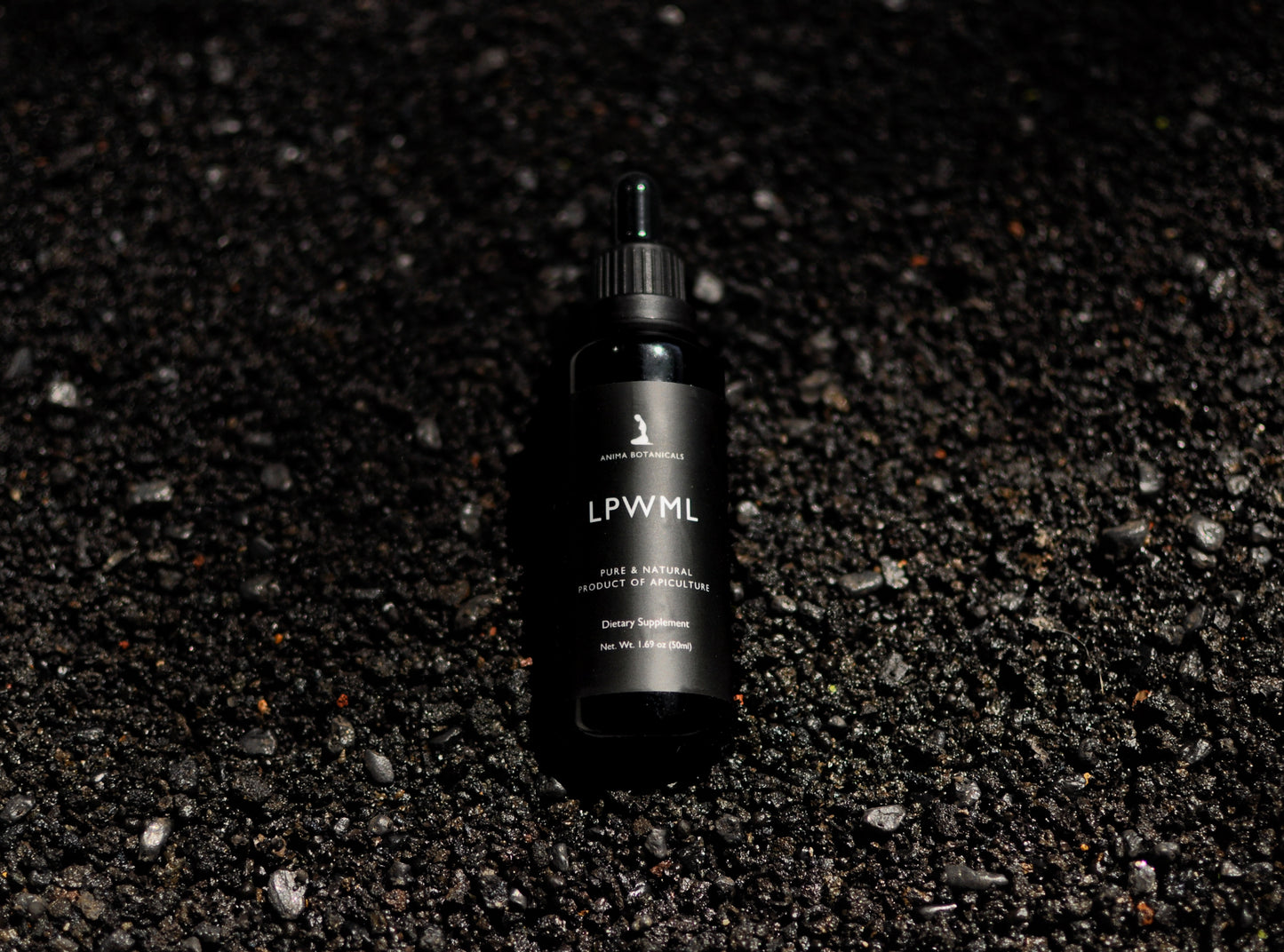 LPWML (Bee Ognevka)